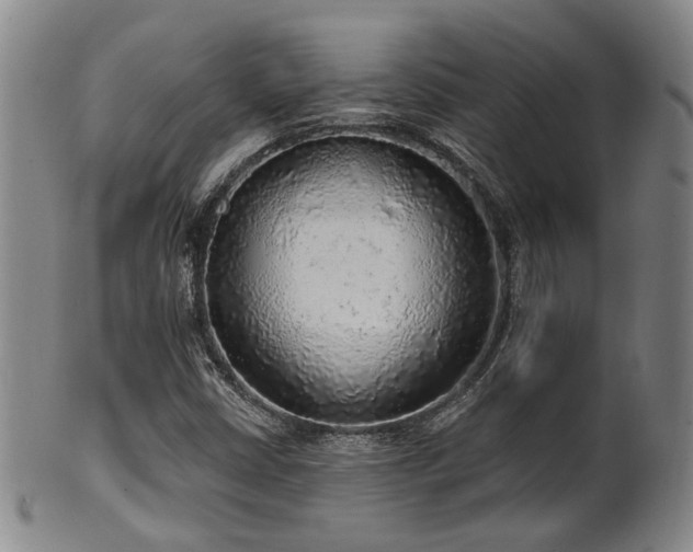 X0000102461402200808081217