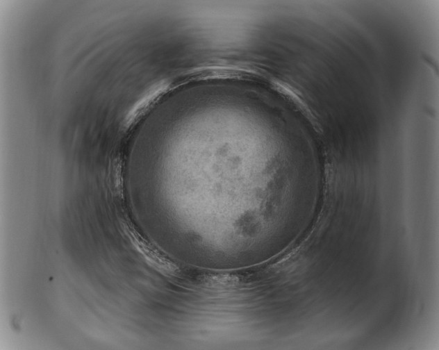 X0000102461403200808081217