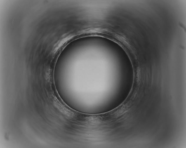 X0000102461404200808081217