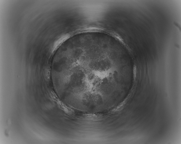 X0000102461405200808081217