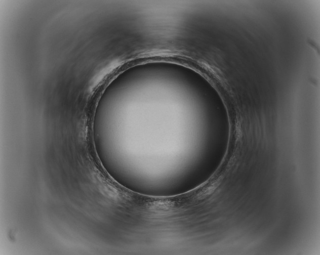 X0000102461406200808081217