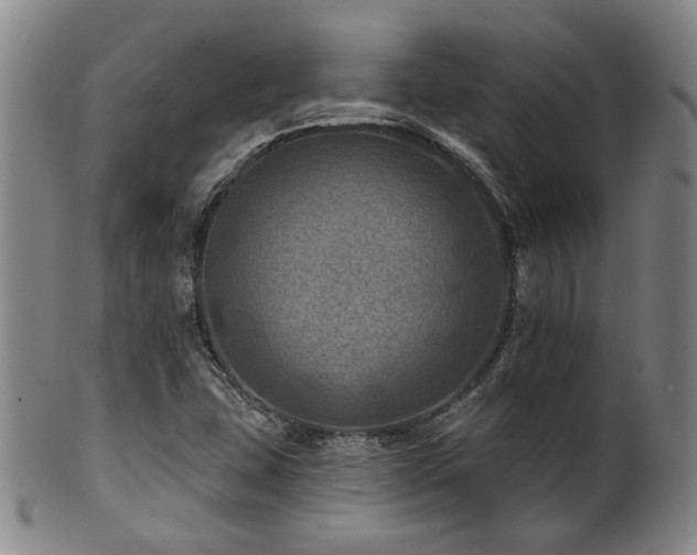 X0000102461407200808081217
