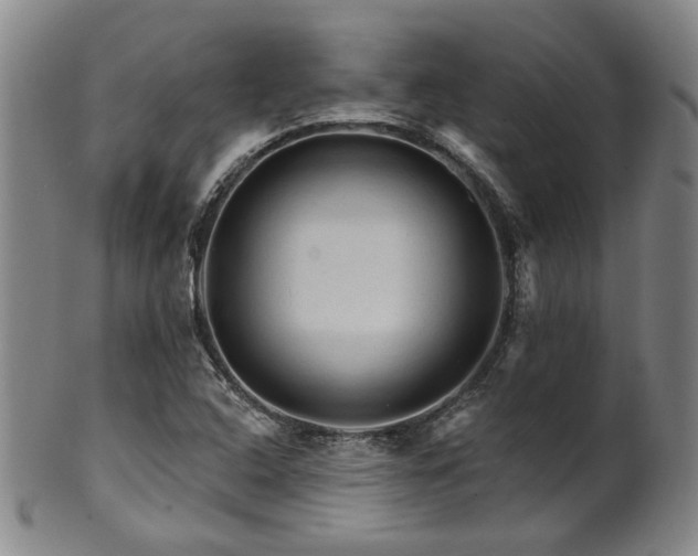 X0000102461408200808081217