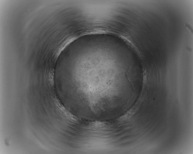 X0000102461409200808081217
