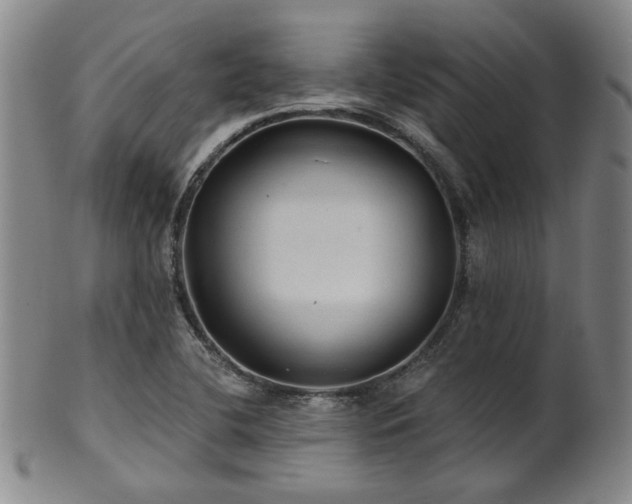 X0000102461412200808081217