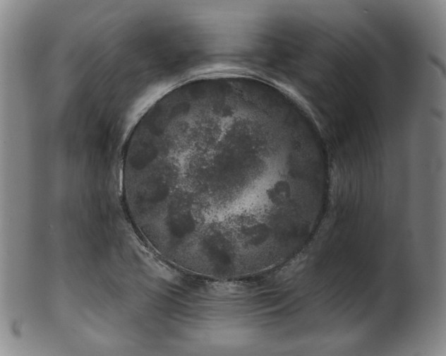 X0000102461413200808081217