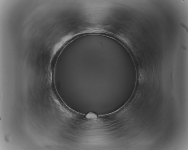 X0000102461414200808081217