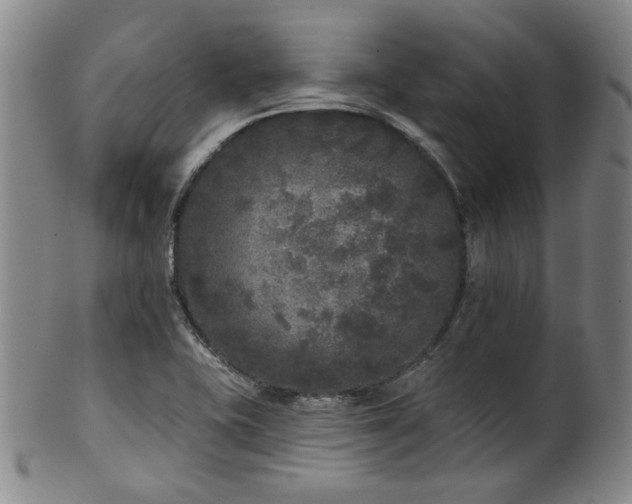 X0000102461415200808081217