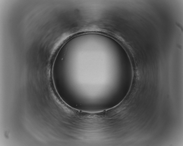 X0000102461416200808081217