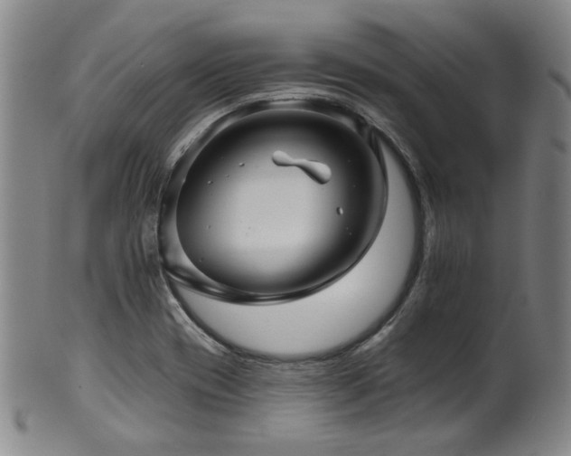 X0000102461417200808081217