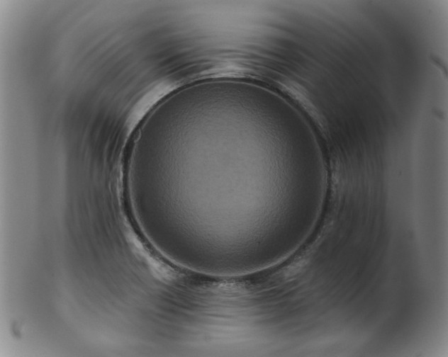X0000102461418200808081217