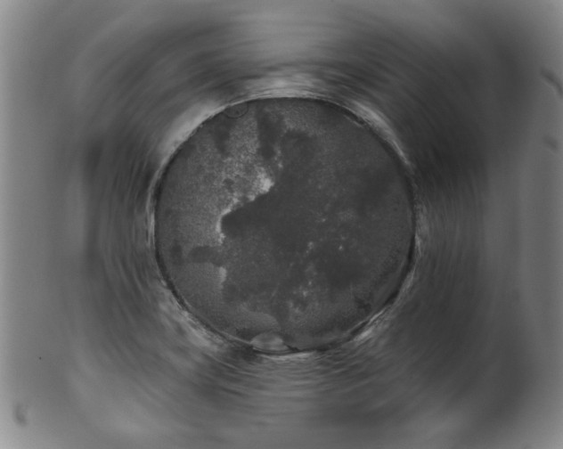 X0000102461419200808081217