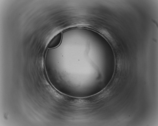 X0000102461420200808081217