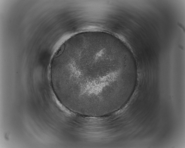 X0000102461421200808081217
