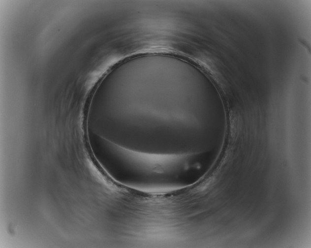 X0000102461422200808081217