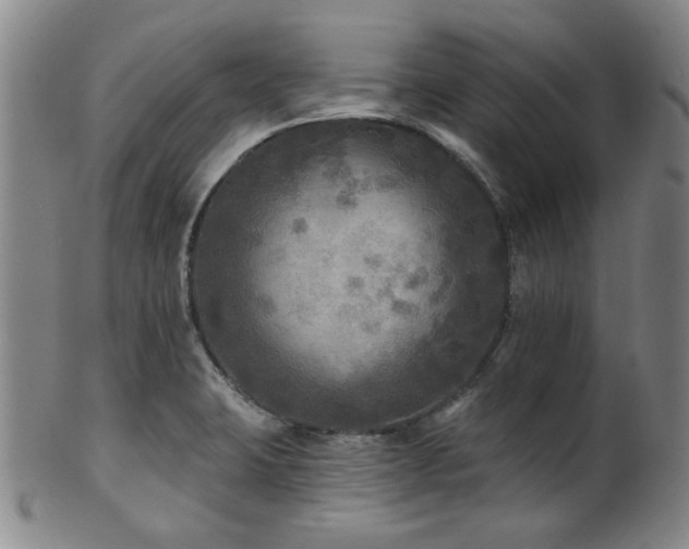 X0000102461423200808081217