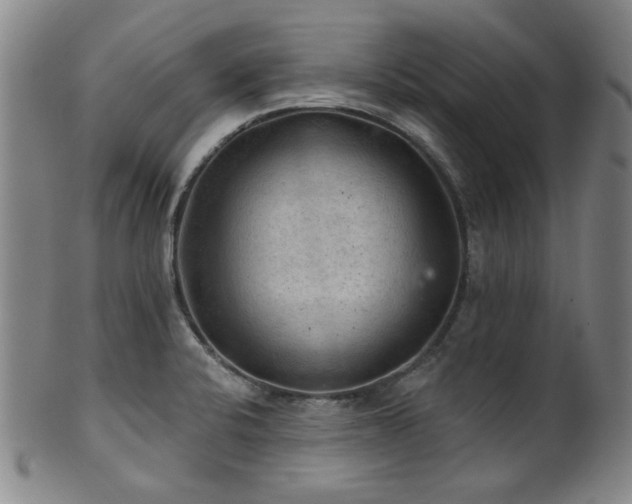 X0000102461424200808081217