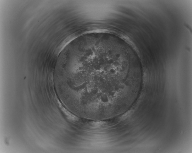 X0000102461425200808081217