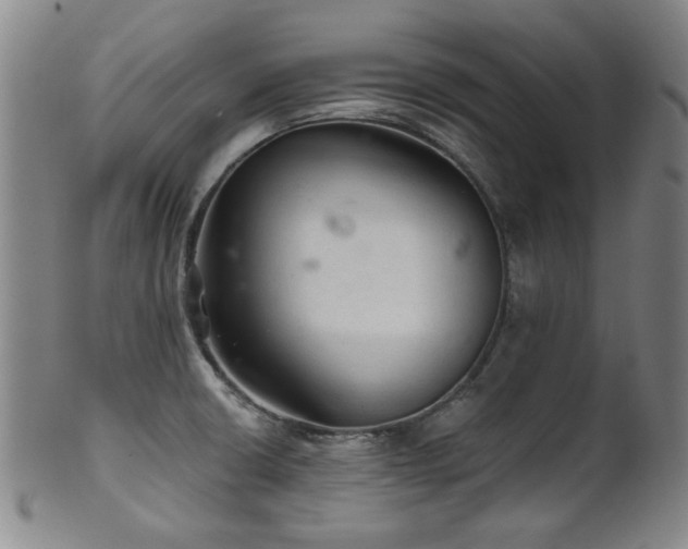 X0000102461426200808081217