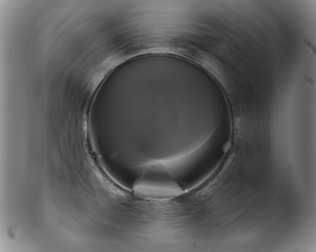 X0000102461428200808081217