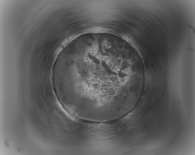 X0000102461429200808081217