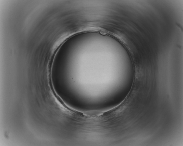 X0000102461430200808081217