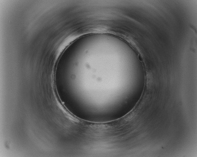 X0000102461432200808081218