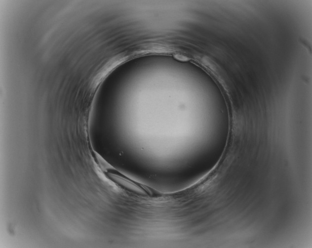 X0000102461433200808081218