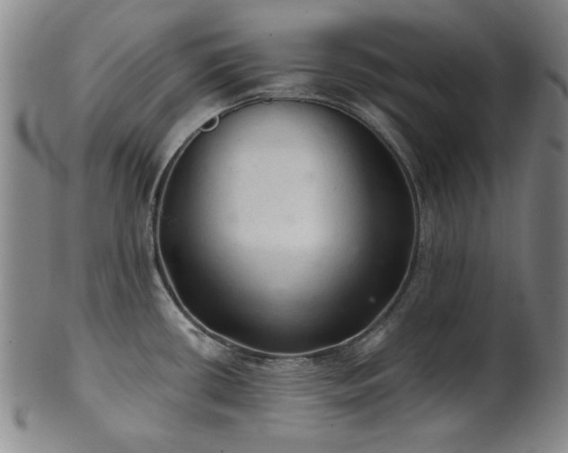 X0000102461434200808081218