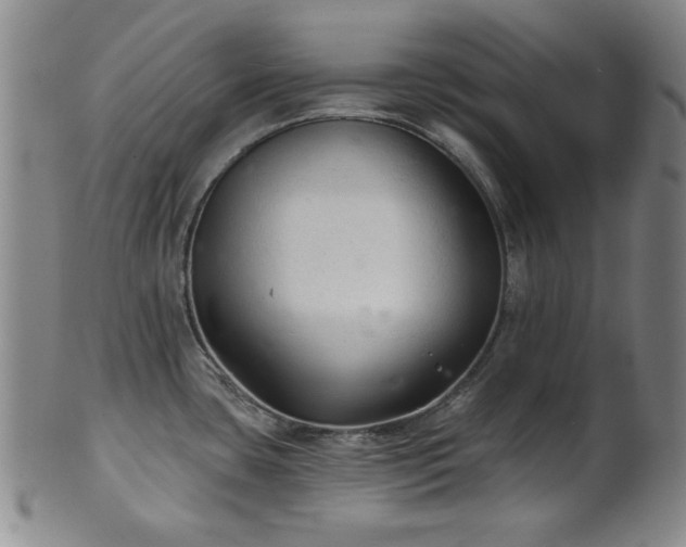 X0000102461435200808081218