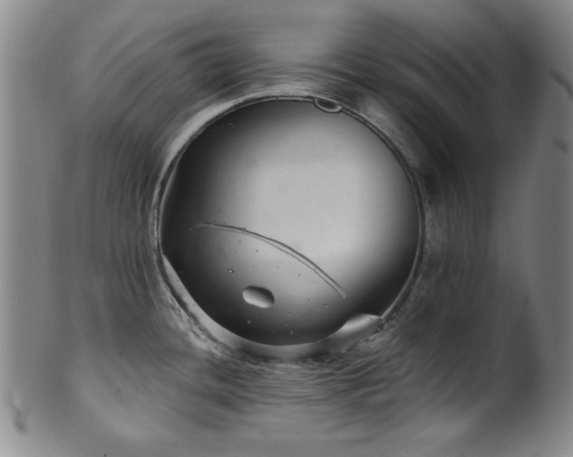 X0000102461436200808081218