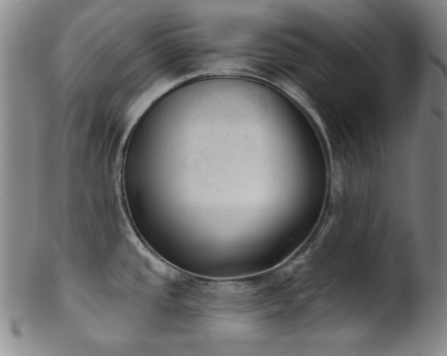 X0000102461437200808081218