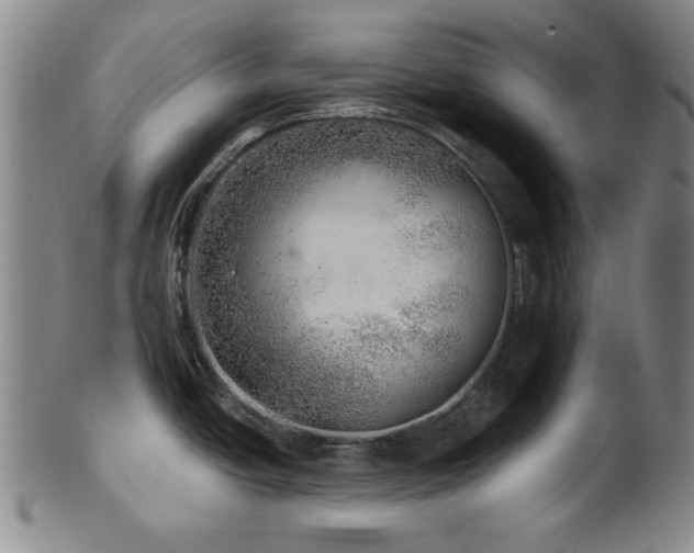 X0000102461438200808081218