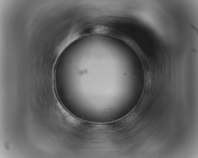 X0000102461439200808081218