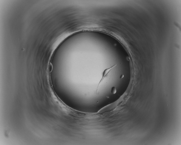 X0000102461440200808081218