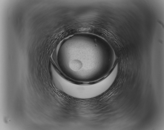 X0000102461441200808081217