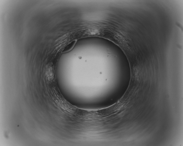 X0000102461442200808081217