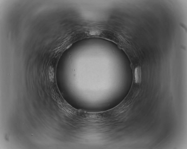 X0000102461443200808081217
