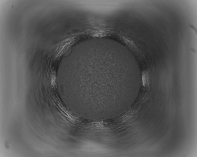 X0000102461444200808081217