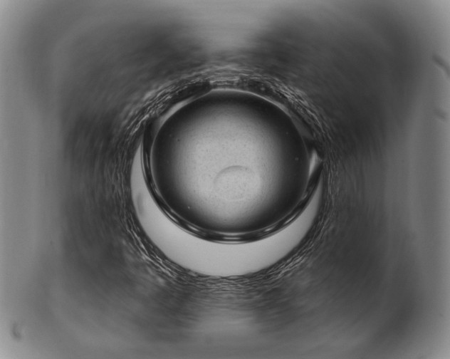 X0000102461445200808081217