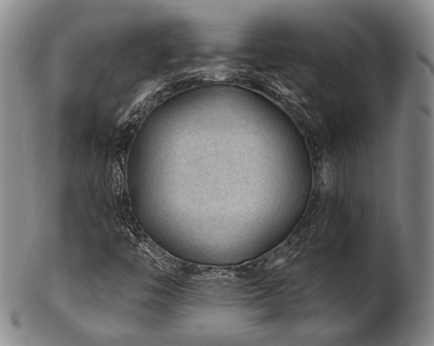 X0000102461446200808081217