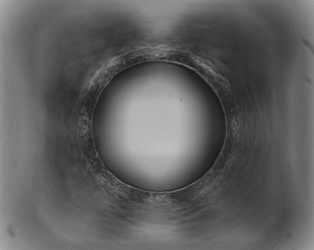 X0000102461447200808081217