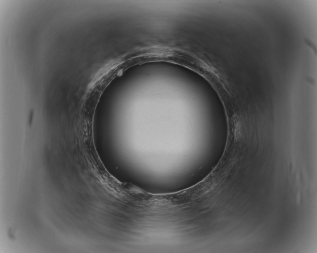 X0000102461448200808081217