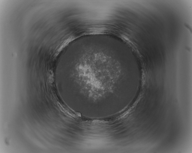 X0000102461449200808081217