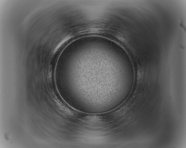 X0000102461450200808081217