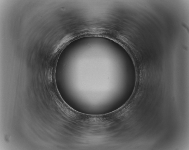 X0000102461451200808081217