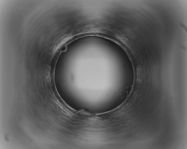X0000102461452200808081217