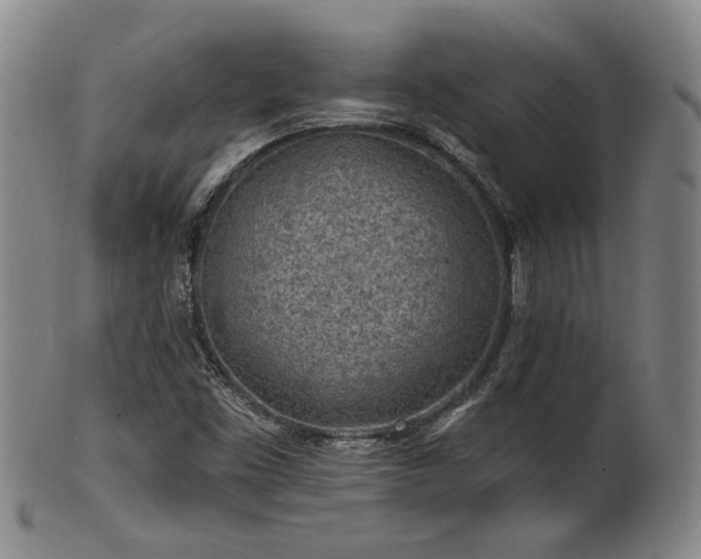 X0000102461453200808081217