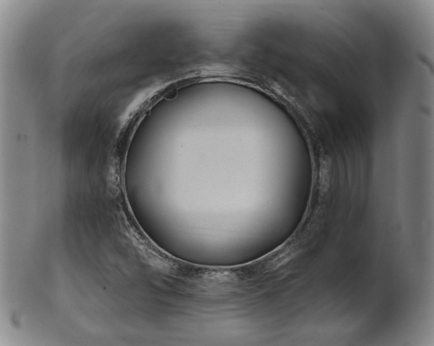 X0000102461454200808081217