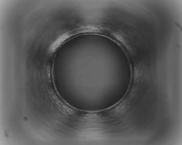 X0000102461455200808081217